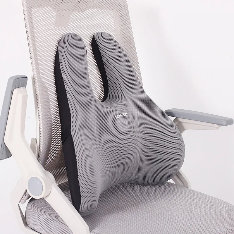 Coussin Coccyx Orthopédique Confort