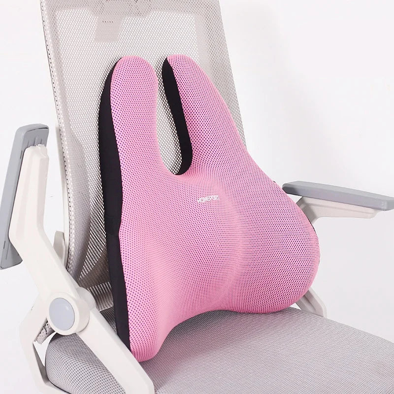 Coussin Coccyx Orthopédique Mémoire Confort Auto