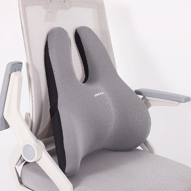 Coussin d'Assise | Mousse à Mémoire de Forme