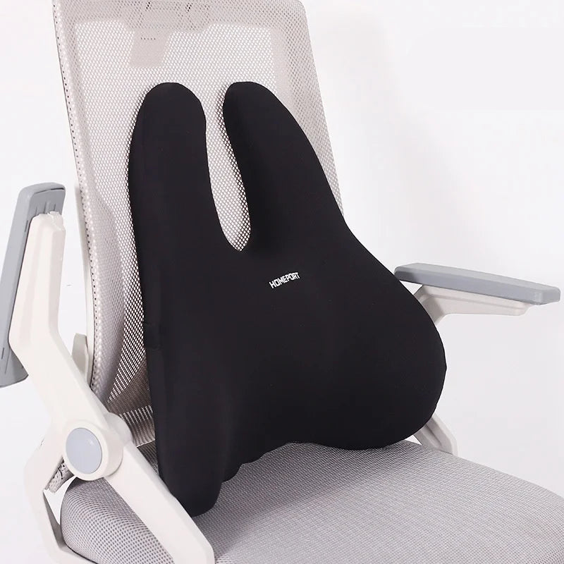 Coussin d'Assise | Mousse à Mémoire de Forme